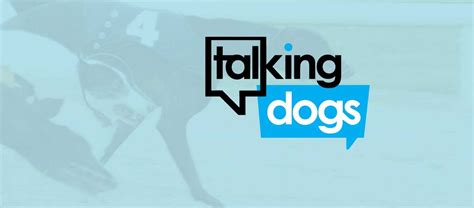 igb talking dogs|Talking Dogs TV – live Irish Greyhound Racing .